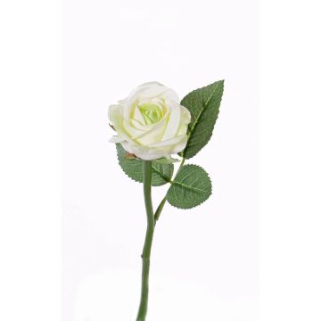 Fake rose GABI, cream-green, 10"/25cm, Ø2"/5cm