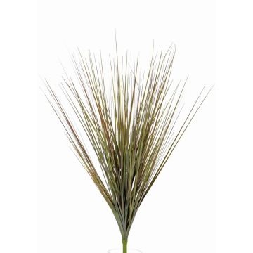 Silk sedge grass AMILO, on spike, green-brown, 26"/65cm