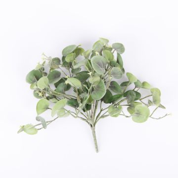 Silver ponysfoot bush / Dichondra argentea RONAS, 85 leaves, green-grey, 10"/25cm