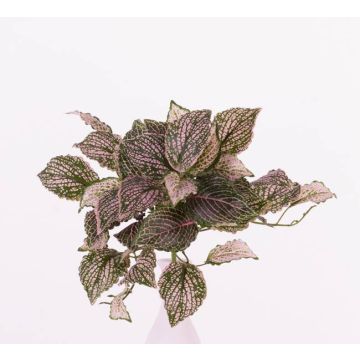 Artificial Fittonia MOLARA, on spike, pink-green, 10"/25cm