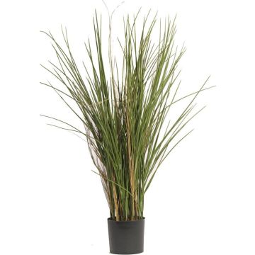 Silk reed grass DELSIN, crossdoor, green-brown, 31"/80cm