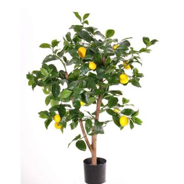 Artificial Lemon tree ZYPRIAN, real stem, with fruits, green, 33"/85cm