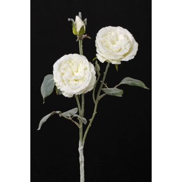 Fake cabbage rose MADITA, with snow, cream, 24"/60cm, Ø3.5"/9cm