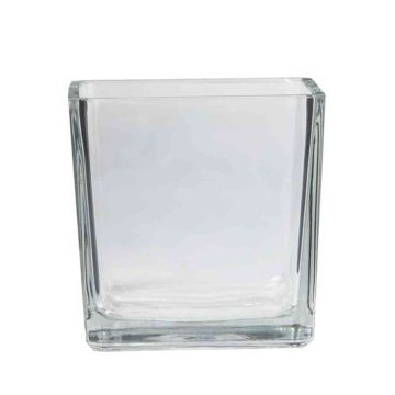 Glass planter KIM OCEAN, clear, 5.5"x5.5"x5.5"/14x14x14cm