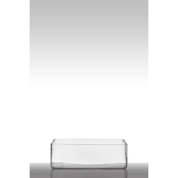 Glass bowl for plants MIRJA, clear, 12"x8"x4"/30x20x10cm