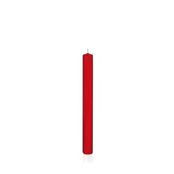 Household candle TARALEA, red, 10"/25cm, Ø0.9"/2,3cm, 14h - Made in Germany