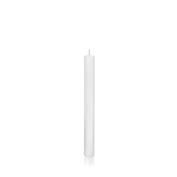 Household candle TARALEA, white, 10"/25cm, Ø0.9"/2,3cm, 14h - Made in Germany