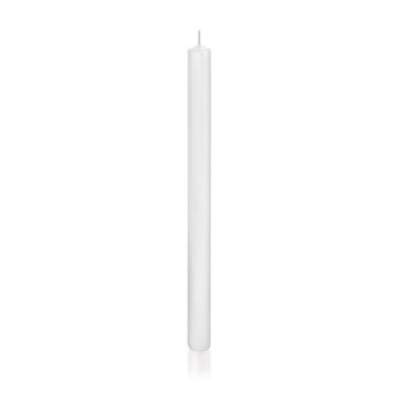 Household candle TARALEA, white, 14"/35cm, Ø0.9"/2,3cm, 18h - Made in Germany