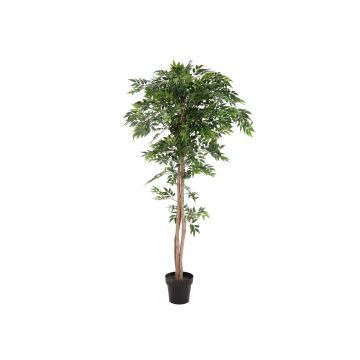 Artificial longifolia tree CAYA, artificial trunk, green, 5ft/165cm