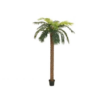 Plastic Phoenix Palm JOLEEN, 8ft/250cm