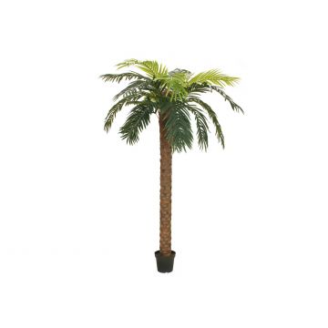 Plastic Phoenix Palm JOLEEN, 10ft/300cm