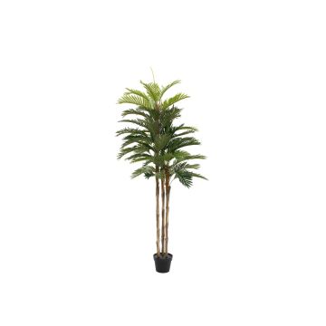 Artificial Kentia palm tree JORGANA, 5ft/150cm