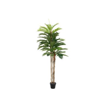 Artificial Kentia palm tree JORGANA, 6ft/180cm
