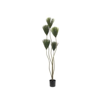 Plastic Papyrus grass COLIN, fake trunks, green, 4ft/130cm