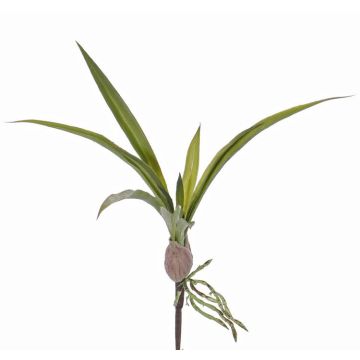 Fake oncidium orchid leaves HENNES, aerial roots, 10"x16"/25x40cm