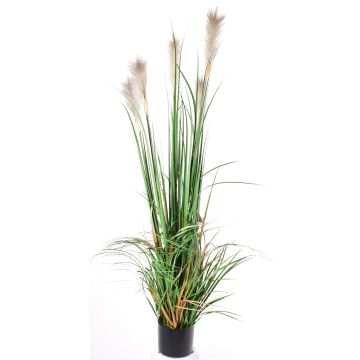 Fake reed grass EYOTA with panicles, green-brown, 5ft/150cm