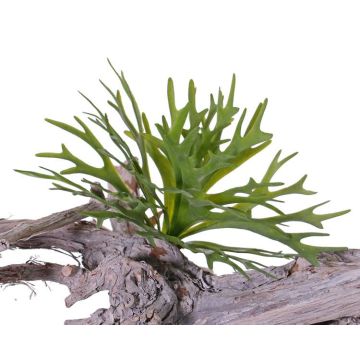 Silk elkhorn fern TENUK on spike, green, 8"/20cm, Ø12"/30cm