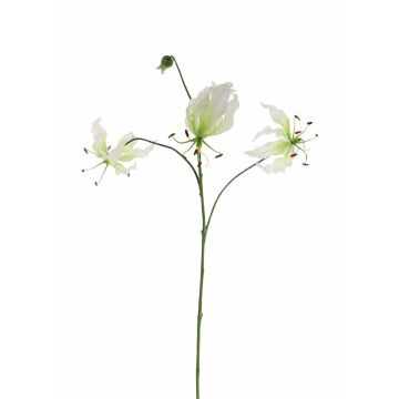 Fake gloriosa TIANA, white-green, 31"/80cm, Ø3.1"-6"/8-15cm
