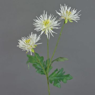 Fake chrysanthemum SOLVIE, cream, 28"/70cm, Ø4"/10cm