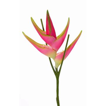 Artificial heliconia flower TOMKE, pink-green, 31"/80cm, Ø12"/30cm