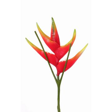 Artificial heliconia flower TOMKE, red-green, 31"/80cm, Ø12"/30cm