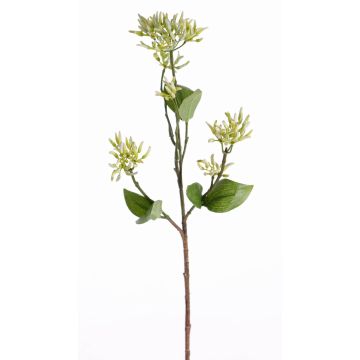 Fake dogwood branch JOSIA with buds, white-green, 20"/50cm