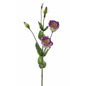 Artificial lisianthus JUDIKA, violet-green, 28"/70cm, Ø2"/5cm