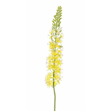 Plastic foxtail lilies SELINA, yellow, 3ft/105cm, Ø3.5"/9cm
