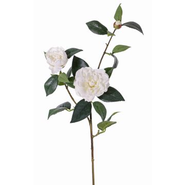 Silk camellia branch RIXA with flowers, white, 33"/85cm, Ø2"-4"/5-10cm