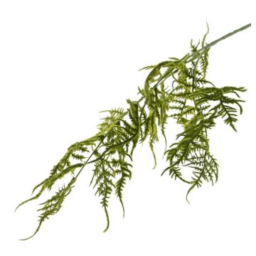 Fake asparagus plumosus branch CHRISTIAN, green, 33"/85cm