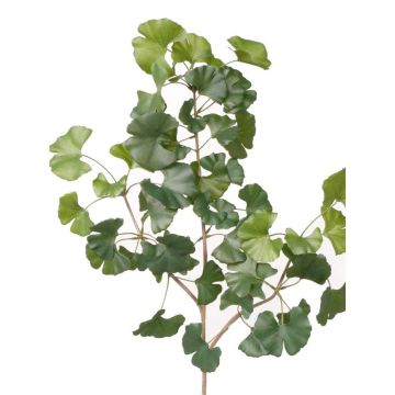 Artificial ginkgo branch HILGER, hardly flammable, 28"/70cm