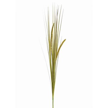 Fake foxtail grass JILL, on spike, panicles, green-yellow, 3ft/90cm