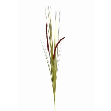 Fake foxtail grass JILL, on spike, panicles, green-violet, 3ft/90cm