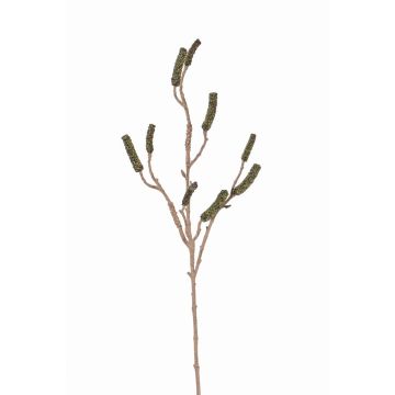 Fake callistemon branch BRODY with fruits, green, 3ft/90cm