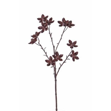 Plastic star anise branch DELANO with fruits, brown, 24"/60cm