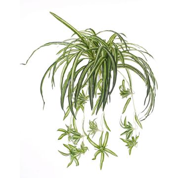 Fake green lily TASMIN on spike, green-white, 28"/70cm