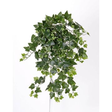 Fake hanging ivy TILL on spike, crossdoor, green-white, 26"/65cm