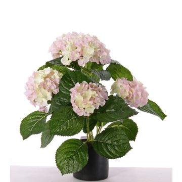 Artificial hydrangea flower TEMARI, white-pink, 14"/35cm, Ø4"-4.7"/10-12cm