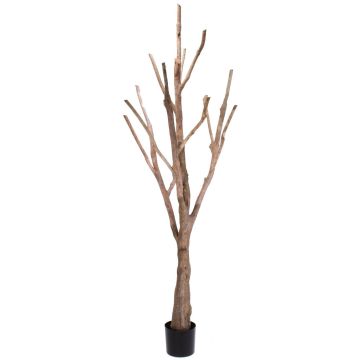 Fake deciduous tree trunk WILKO with branches, brown, 7ft/215cm