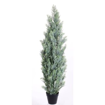 Fake cypress GEROME, green-grey, 5ft/150cm