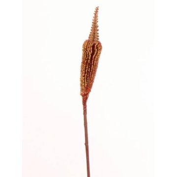 Silk bulbinella TALUNA, brown-orange, 26"/65cm, Ø2.4"/6cm