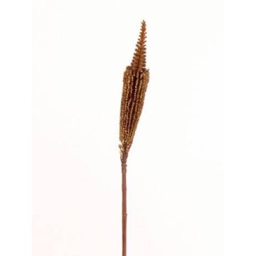Silk bulbinella TALUNA, light brown, 26"/65cm, Ø2.4"/6cm