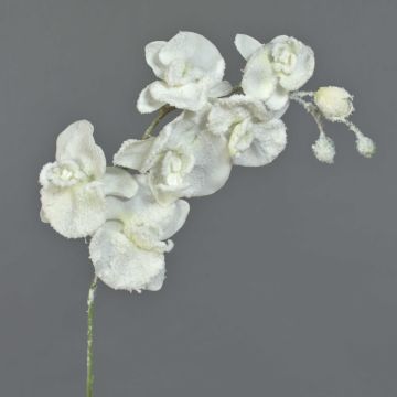 Silk phalaenopsis orchid twig MYRIA, snow-covered, white, 30"/75cm