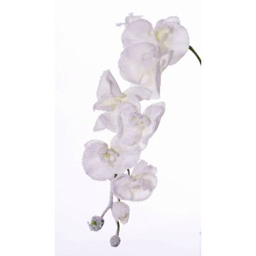 Silk phalaenopsis orchid twig MYRIA, snow-covered, white, 30"/75cm