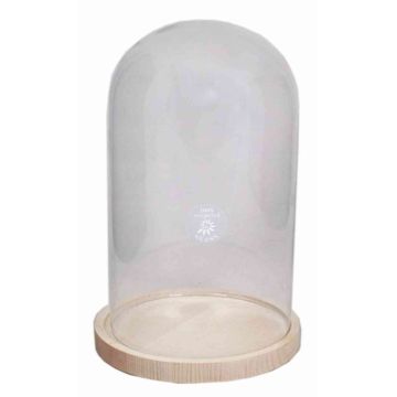 Glass dome SABIKA with wooden base, clear, 12"/30cm, Ø7.5"/19cm