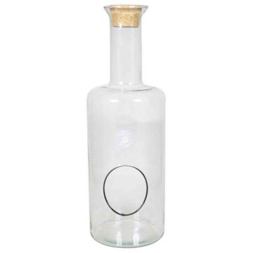 Glass bottle DRACO for terrarium, with cork, clear, 18"/45cm, Ø6"/15cm