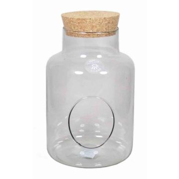 Terrarium glass jar DONELL, cork lid, clear, 10"/25cm, Ø6.7"/17cm