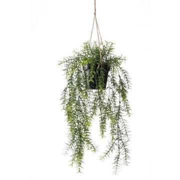 Artificial hanging basket with asparagus sprengeri ANDRES in decorative pot, 20"/50cm