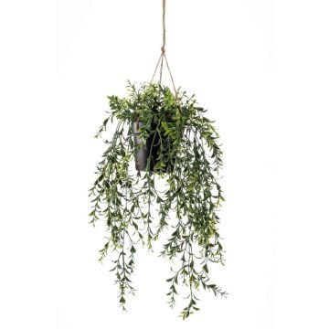 Artificial hanging basket with boxwood ANDRES in decorative pot, 20"/50cm