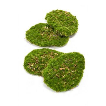 Artificial decoration moss pieces HEFEI, 4 pieces, green, 4.3"x6"x2"/11x15x5cm